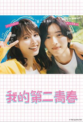 金华seo网络优化价格